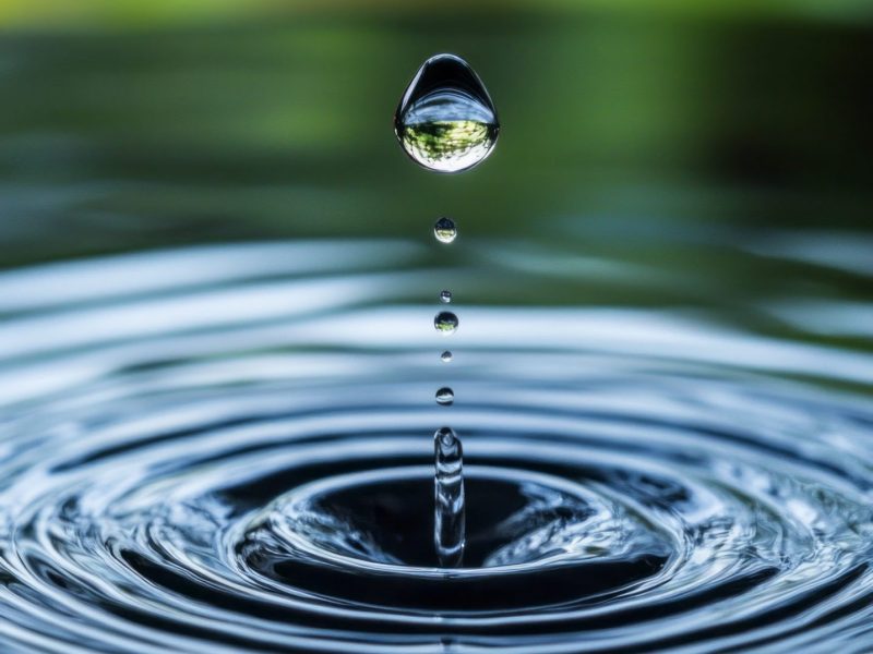 AdobeStock_957046830-scaled-1-800x600